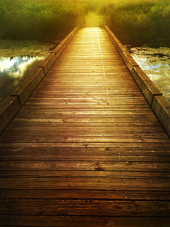 bridging