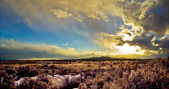 Taos Desert