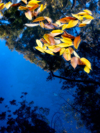 reflections 1